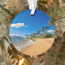 Search for coconut ornaments Sea