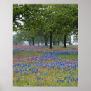 Search for paintbrushes posters Red