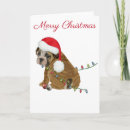Search for bulldog christmas cards English bulldog puppy