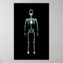 Recherche de pirate posters Horreur
