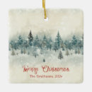 Search for snowy ornaments Winter wonderland