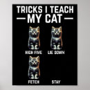 Search for cat owners posters Cute