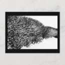 Search for hedge postcards White