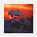 Recherche de sealife Dolphin