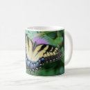 Search for eastern tiger swallowtail mugs Insect