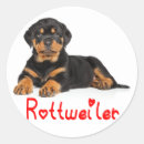 Search for black and brown dog stickers Puppies