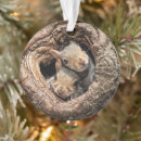 Search for two animals ornaments Forest