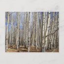 Search for aspen postcards Winter