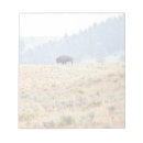 Recherche de bison blocsnotes Wyoming