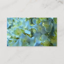 Recherche de hortensia bleu cartes visite Photographie florale