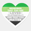 Search for aromantic stickers Flag