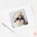 Search for too cute stickers Dog
