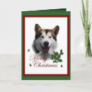 Search for alaskan malamute christmas cards Xmas
