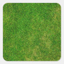Recherche de pelouse autocollants Été