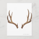 Search for trophy vertical postcards Hunting