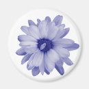 Search for accents magnets Background
