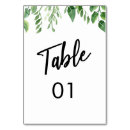 Search for fern table cards Leaves