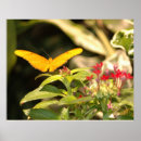 Search for garden foliage posters Nature