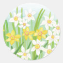 Search for daffodil flower stickers Easter