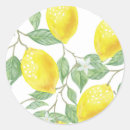 Search for lemon leaves stickers Lemons