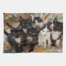 Search for tuxedo cat tea towels Pet