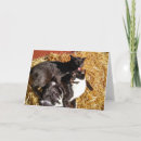 Search for love your cat cards I love you
