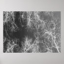 Search for black tree silhouette art Woods