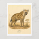 Recherche de hyènes cartes postales Animal