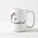 Search for swiss mugs Greater swiss mountain dog