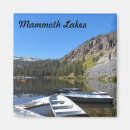 Search for mammoth Nature