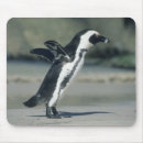 Search for beach walk mousepads Walking