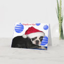 Search for terrier christmas cards Boston