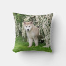 Search for alaskan malamute pillows Dog