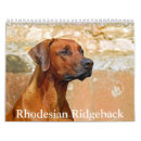 Search for rhodesian ridgeback Pet