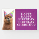 Search for funny party signs Alpaca