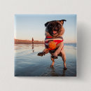 Recherche de jouant badges Carlin