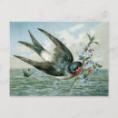 Search for vintage bird postcards Antique