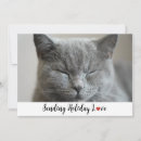 Search for photograph christmas cards Pet