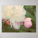 Search for bud art Flowers