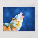 Search for timber wolves postcards Animals