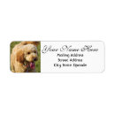Search for golden doodle return address labels Cute