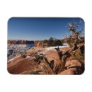 Recherche de rude refrigérateur magnets Nature