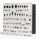 Search for specimen Insects