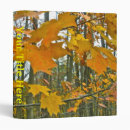 Search for maple binders Orange