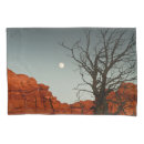 Search for moon pillowcases Night