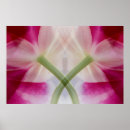 Recherche de orchidée verte posters Gros plan