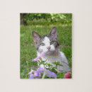 Search for tabby cat puzzles Pink