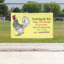 Recherche de oiseau frais Poulet