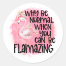 Search for funny flamingo stickers Whimsical
