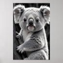 Recherche de koala posters Nature